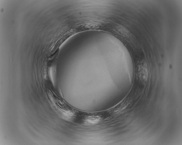 X0000057040508200509091110