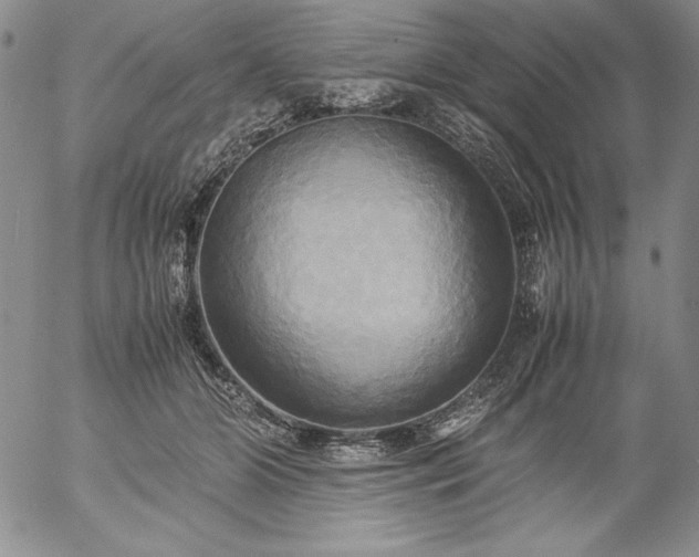 X0000057040510200509091110