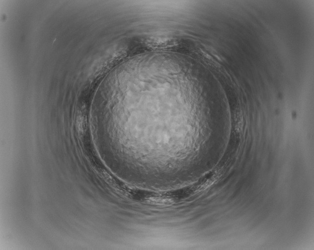 X0000057040515200509091110