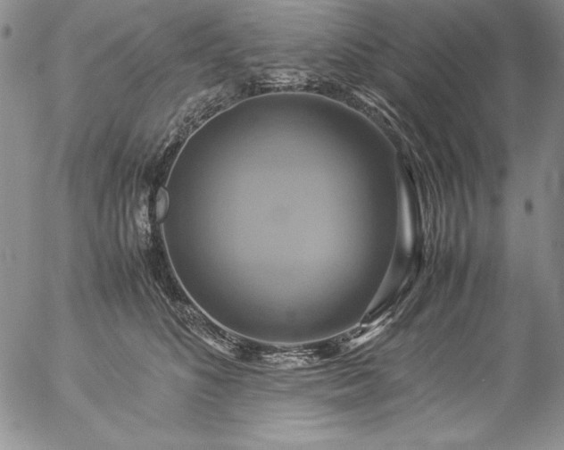 X0000057040516200509091110