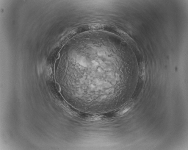 X0000057040523200509091109