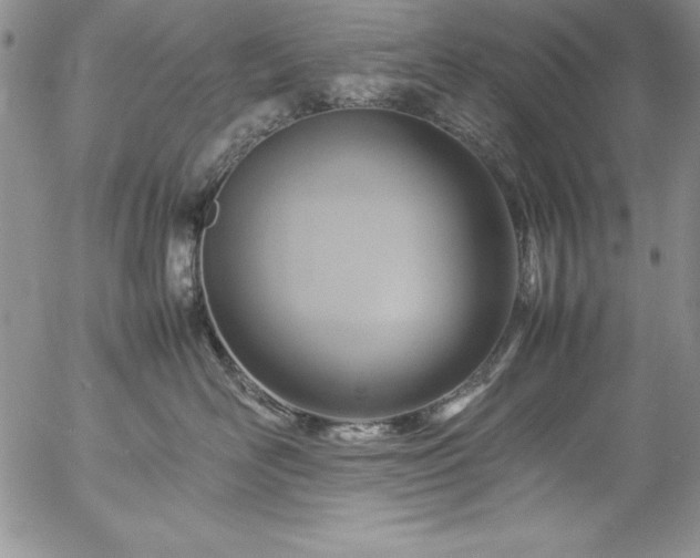 X0000057040526200509091109
