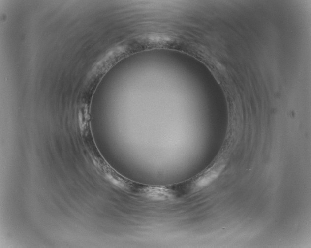X0000057040528200509091109