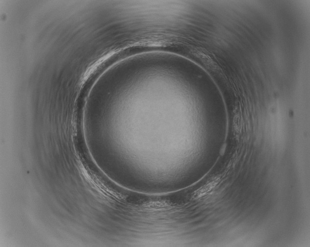 X0000057040536200509091109