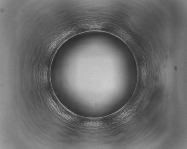 X0000057040537200509091109
