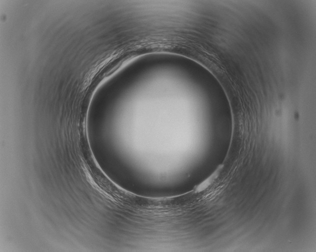 X0000057040538200509091109