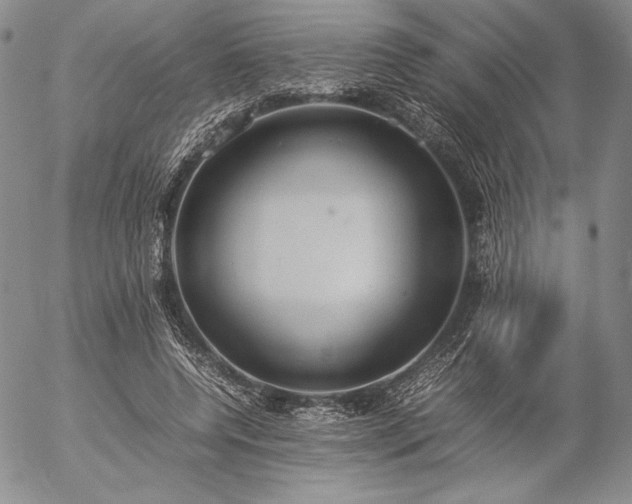 X0000057040544200509091109