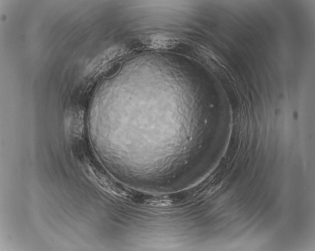 X0000057040554200509091109