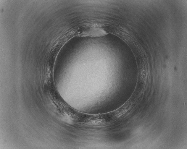 X0000057040555200509091109