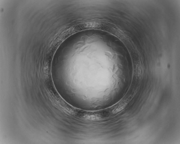 X0000057040557200509091109