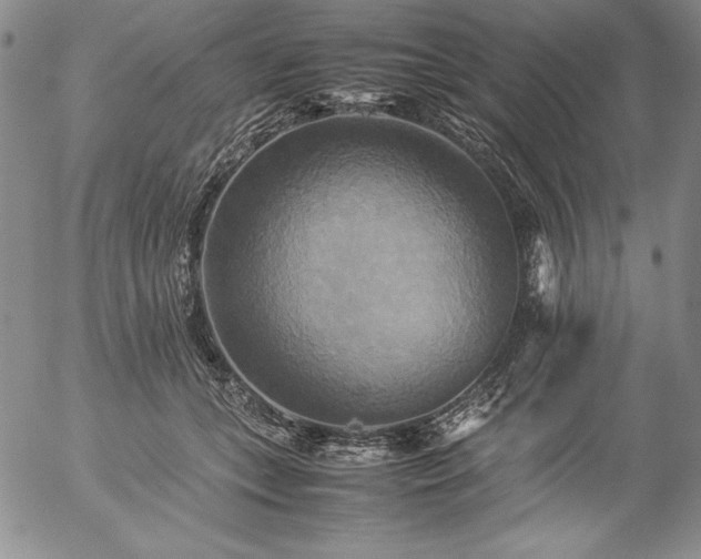 X0000057040559200509091109