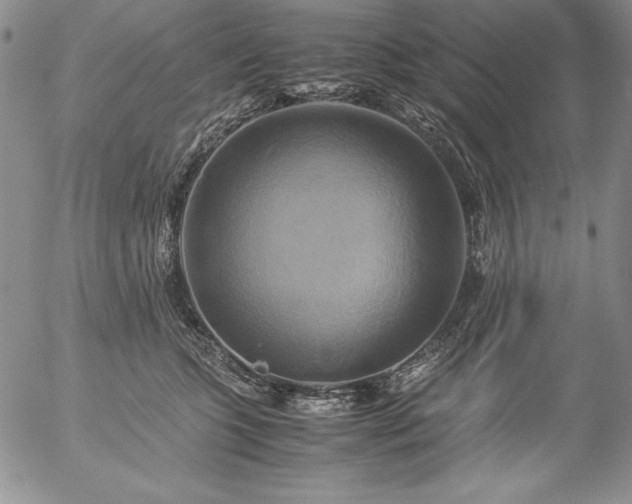 X0000057040563200509091109