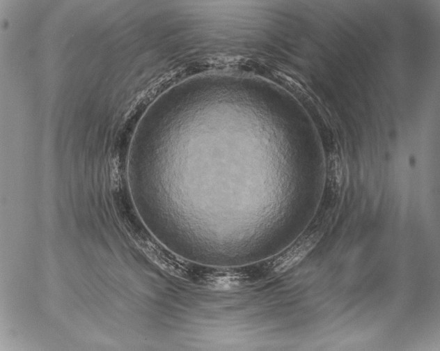 X0000057040564200509091109