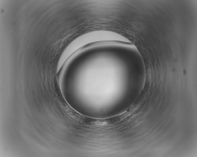 X0000057040570200509091109
