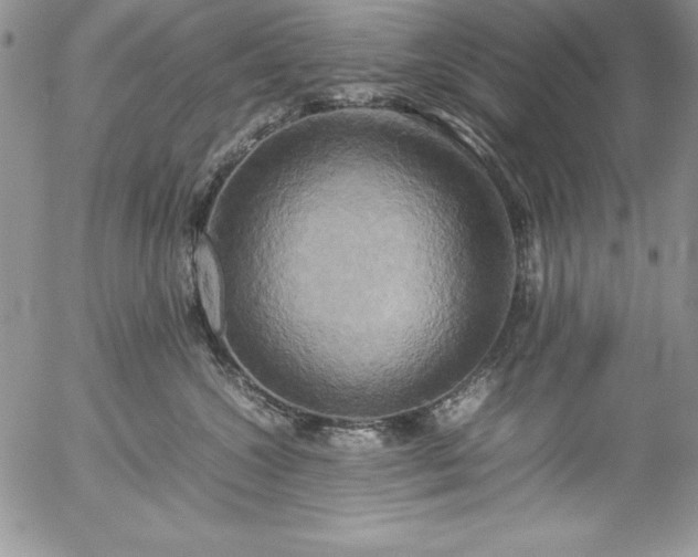 X0000057040572200509091109