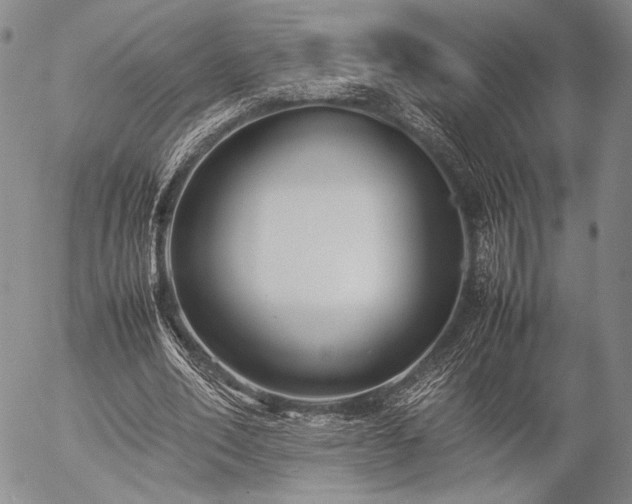 X0000057040582200509091108
