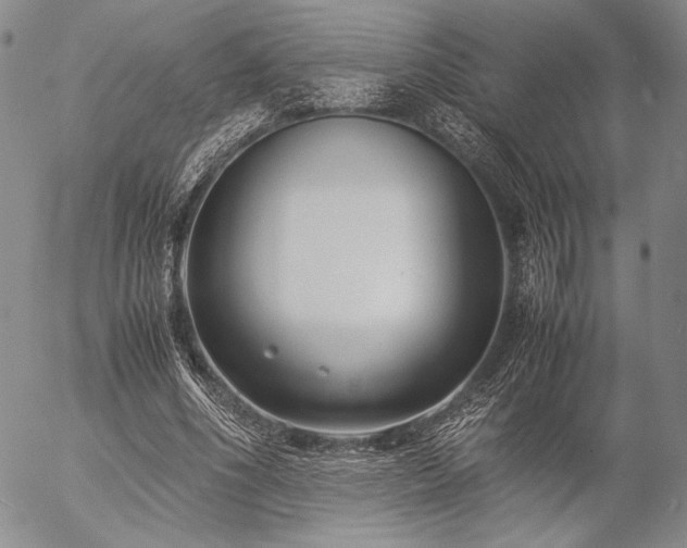 X0000057040586200509091108