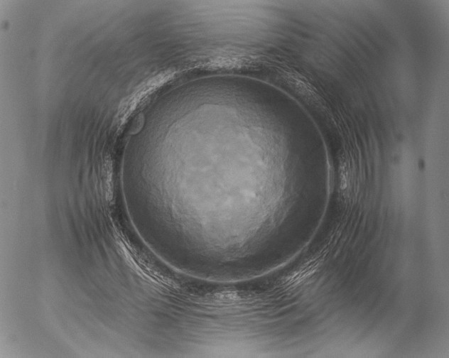 X0000057040588200509091108