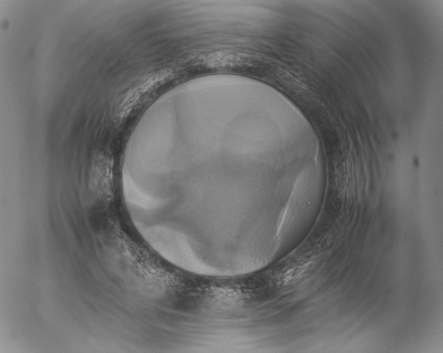 X0000057040592200509091108