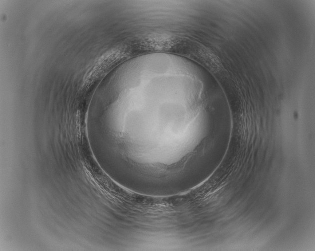 X0000057040594200509091108
