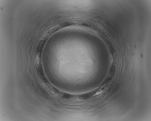 X0000057040597200509091108