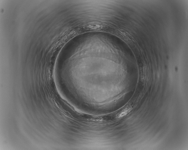 X0000057040606200509091108