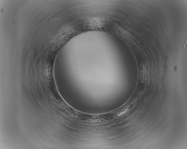 X0000057040608200509091108