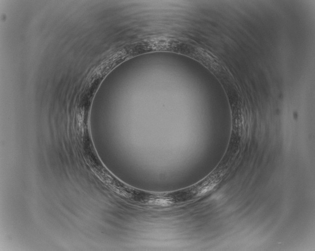 X0000057040610200509091108