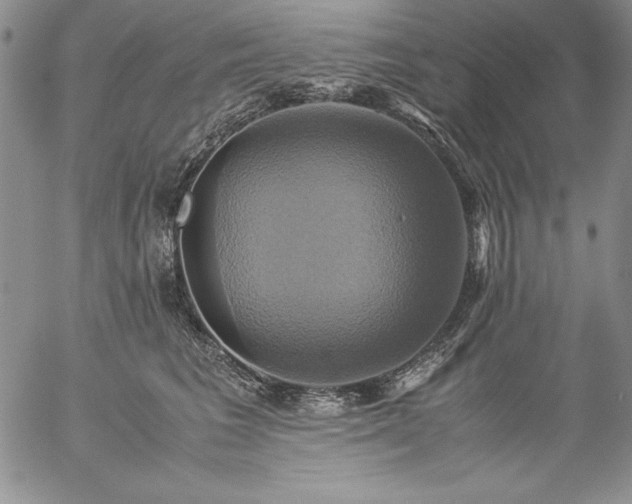 X0000057040613200509091108