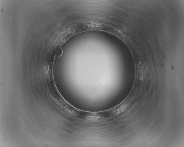 X0000057040614200509091108