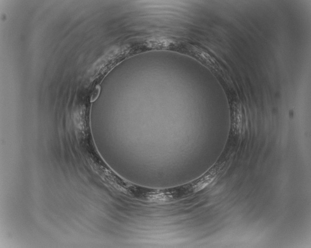 X0000057040616200509091108