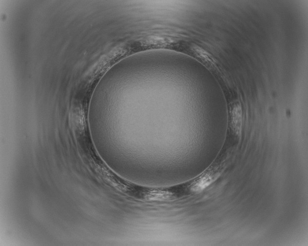 X0000057040617200509091108