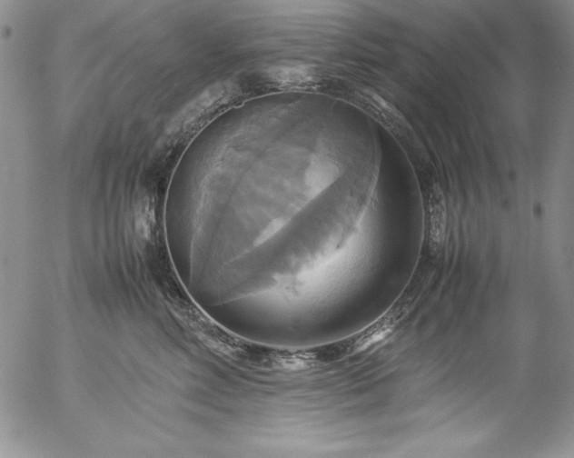 X0000057040618200509091108