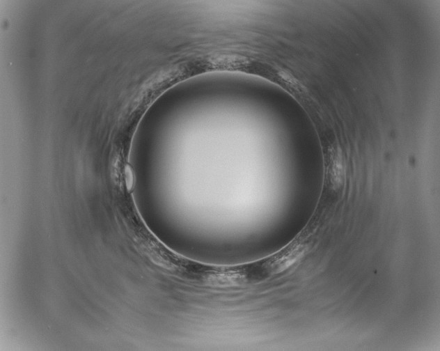 X0000057040619200509091108