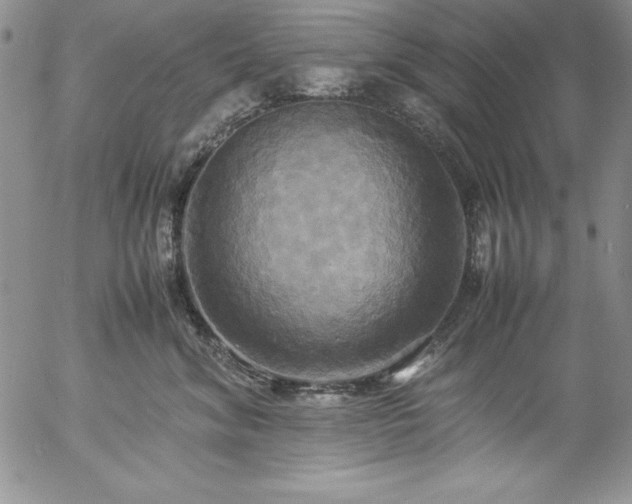 X0000057040620200509091108