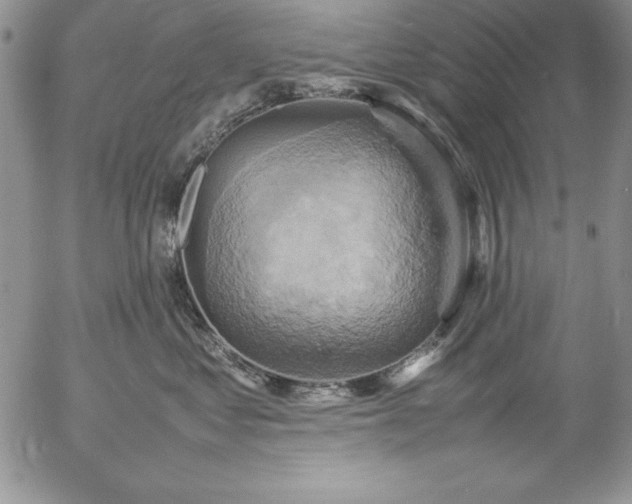 X0000057040621200509091108