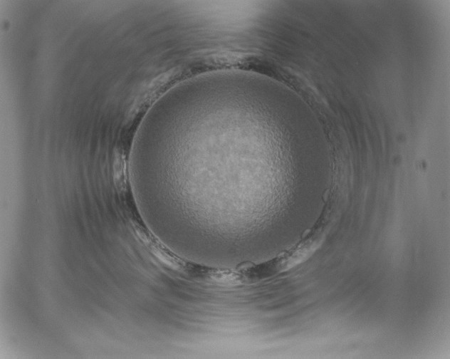 X0000057040624200509091108