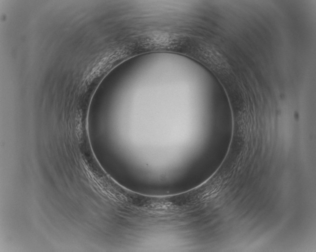 X0000057040642200509091107