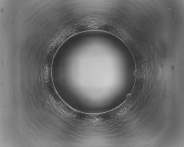 X0000057040646200509091107