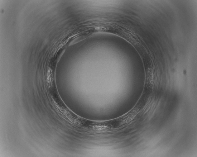 X0000057040650200509091107