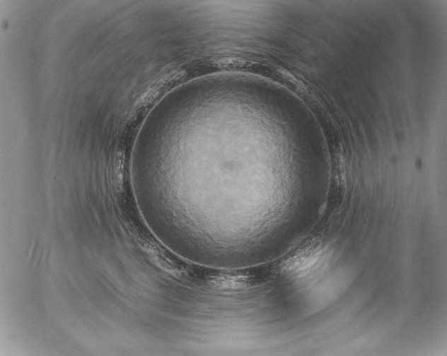 X0000057040664200509091108