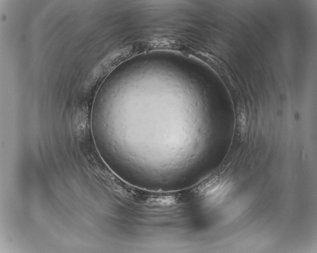X0000057040665200509091108
