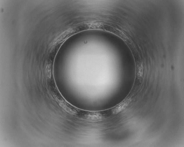 X0000057040666200509091108