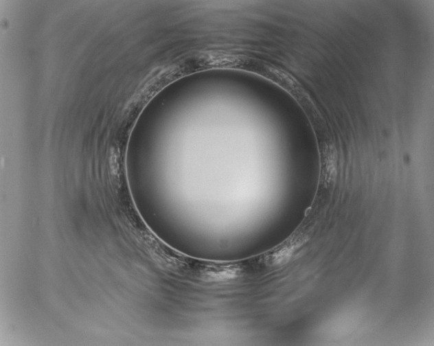 X0000057040667200509091108
