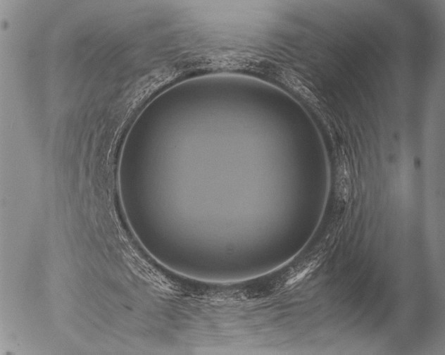 X0000057040673200509091107