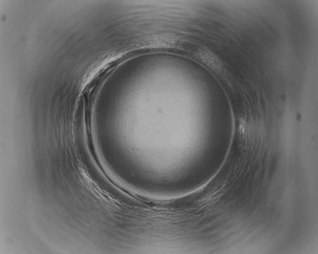 X0000057040676200509091107