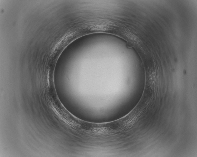 X0000057040686200509091107