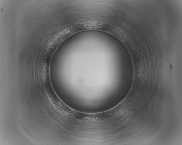 X0000057040690200509091107