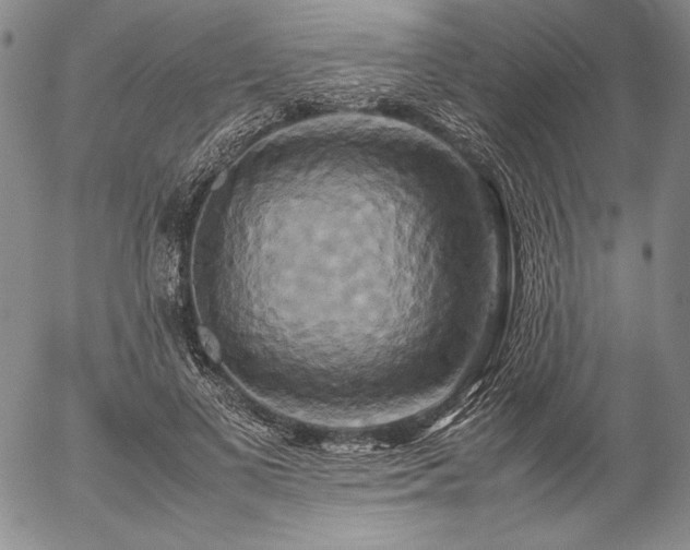 X0000057040693200509091107