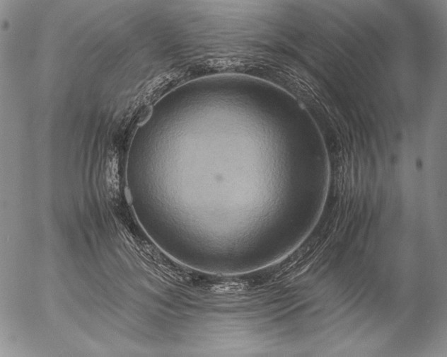 X0000057040700200509091107